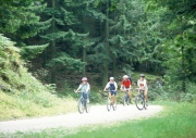 Grizedale Forest Park