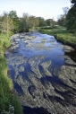 The River Lowther, upstream from Whale Bridge