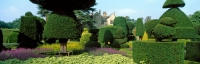 Levens Hall -Topiary garden